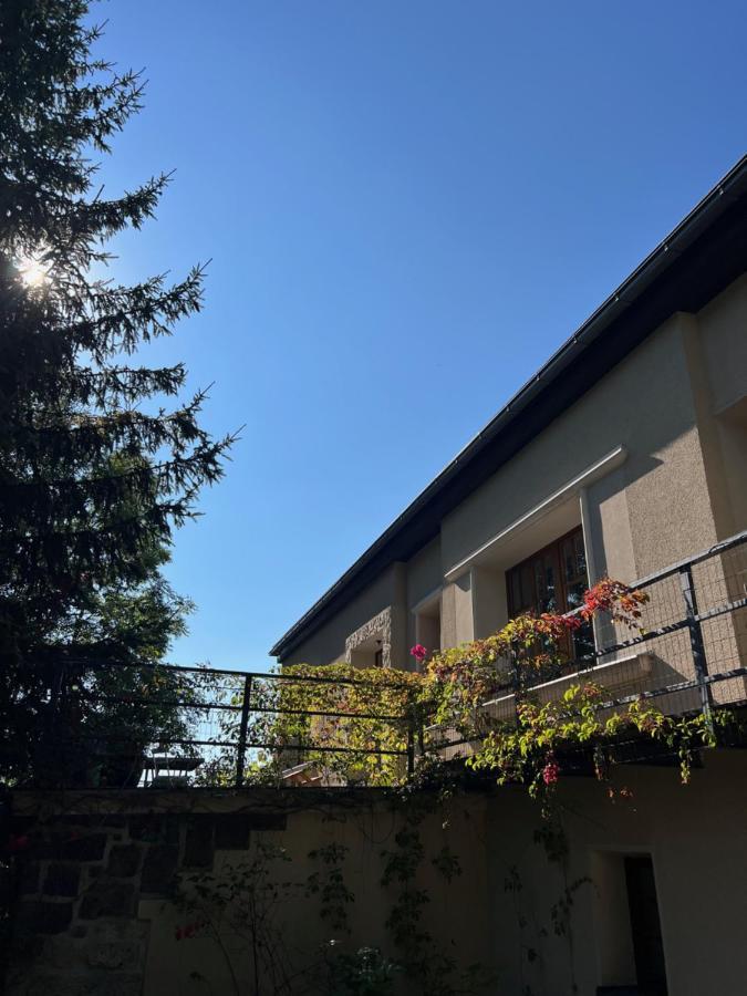 Vila Bellevue Jablonec nad Nisou Esterno foto